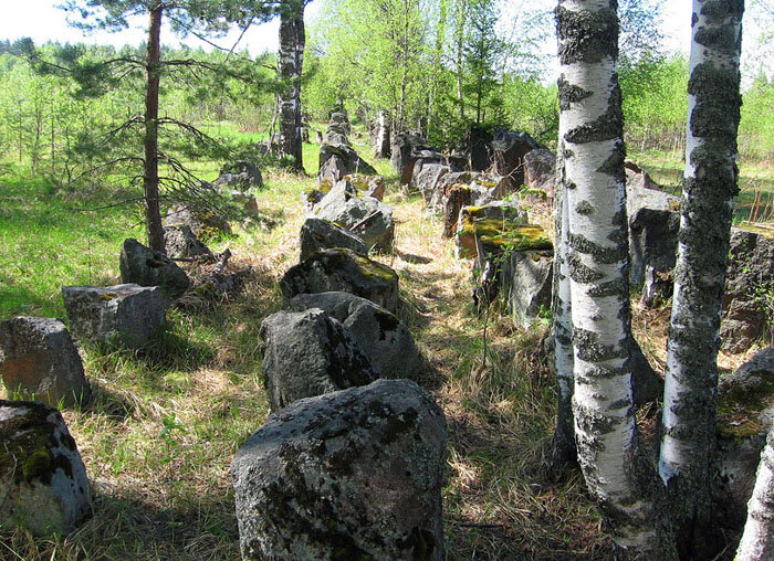 Ольховая Глушь (Леппясюрья)